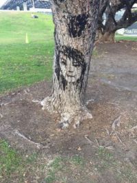 aTree at the La Brea Tar Pits, Los Angeles, California