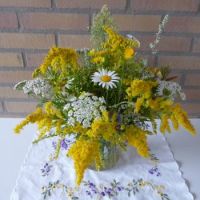 A small bouquet of 'wild' flowers