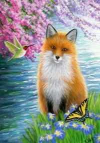Red fox