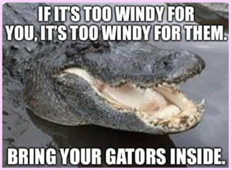 Solve They Don't Like Florida Hurricanes Either! jigsaw puzzle online