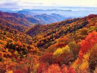 Autumn in North Carolina