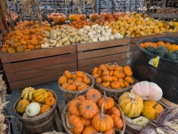Farmers Market