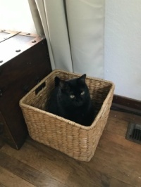 Mr. Riley