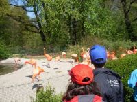 In the ZOO...