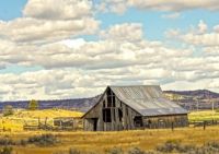 _DSC0774b