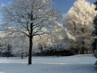 City Park in winterdress.