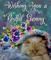 Good Evening - Wishing you a Restful Evening