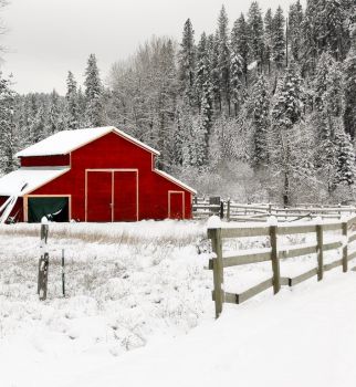 Red Barn in a Winter Day....