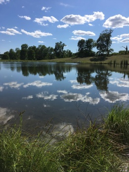Farm pond