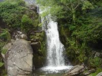 DSC03080