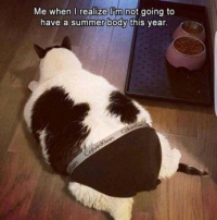 Extra fat cat