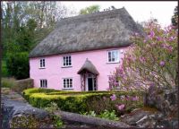 Lovely pink cottage in Cockington
