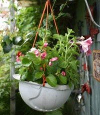 Safety first, always wear a helmet in the garden.