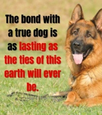 Bond