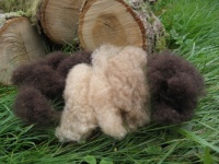 Sheep's fleece 2