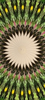 Kaleido