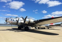 B17