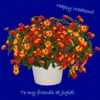 Happy Weekend Jigidi Forum