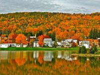 FALL