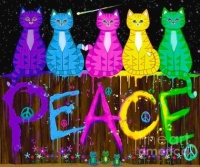 Lets all Pray for Peace