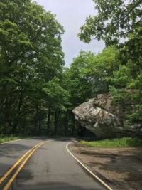 bear rock
