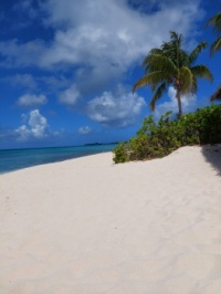 Far from the snow in Minnesota.