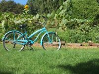 Kelsey's garden