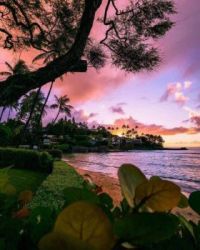 Paradise