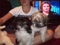 Max and Precious