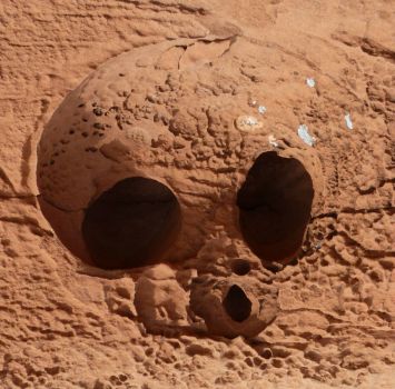 Sandstone Alien