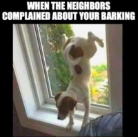 🙈😂😂😂