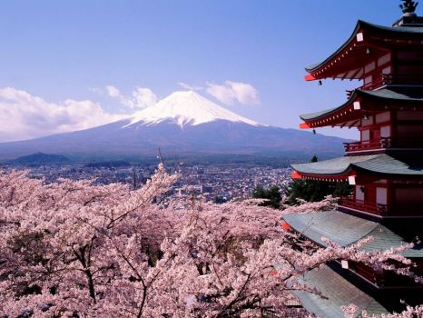 Blossoms and Mt. Fuji
