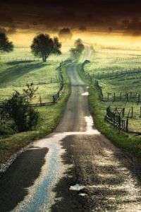 Country Lane2