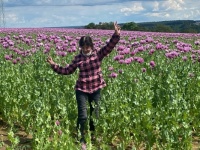 Mohn