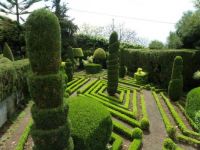 Geometrie v zahradě - Garden geometry