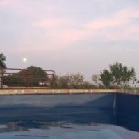 pool 2