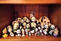 Panda bear