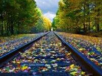 Theme: Fall Railroad Tracks by Kathy Weaver
