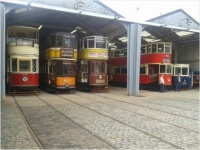 trams