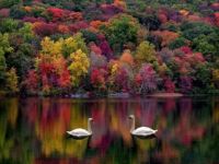 God paints