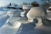 Blizzard of 77