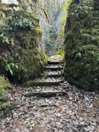 Narrow Path at House Rock