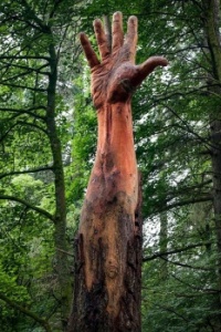 HandTree