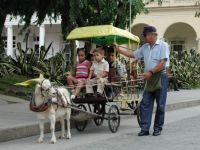 Santa Clara goat cart