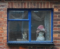Window Dressing