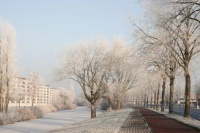 Winter in Breda 202/2023
