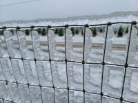 ice on fence