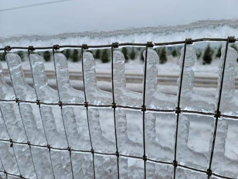 ice on fence