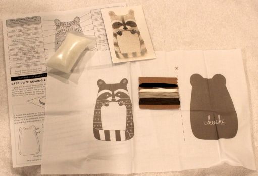 Embroidery Raccoon Kit