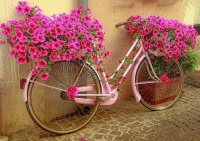 Botanical Bicycles (#3)